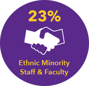 23% ethnic minority staff and faculty